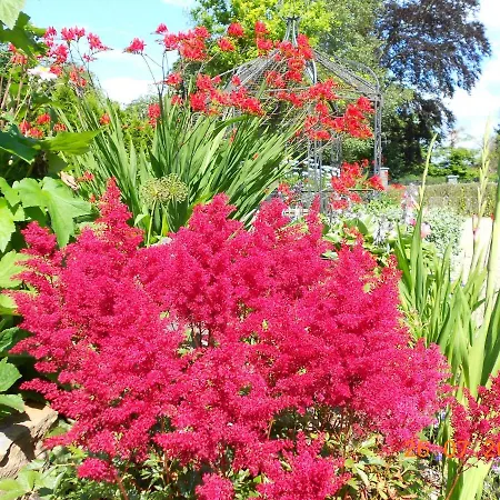 לינה וארוחת בוקר The Yellow House נאבאן