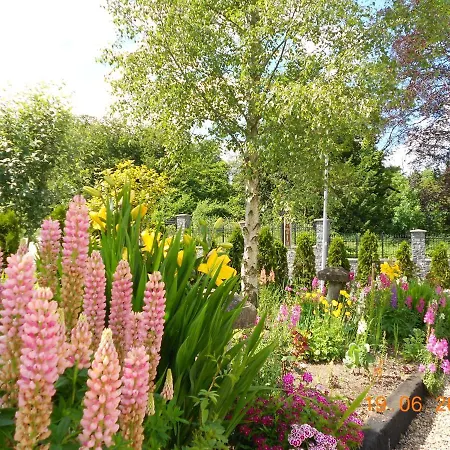Bed and breakfast The Yellow House Navan