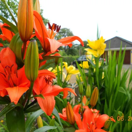 The Yellow House לינה וארוחת בוקר