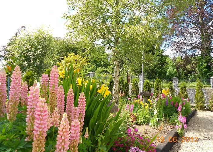 Bed & Breakfast The Yellow House 4*