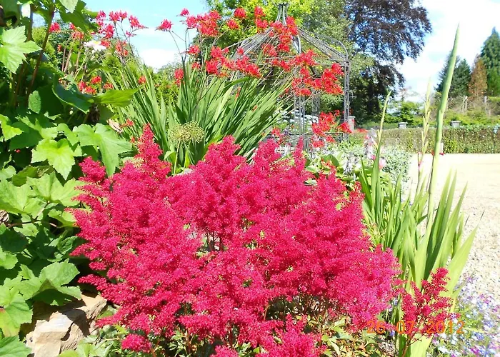 Bed & Breakfast The Yellow House Navan