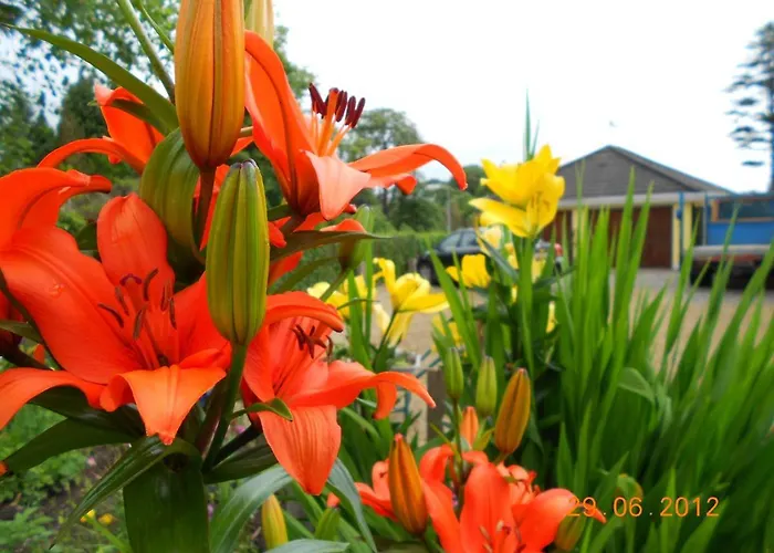 The Yellow House Bed & Breakfast